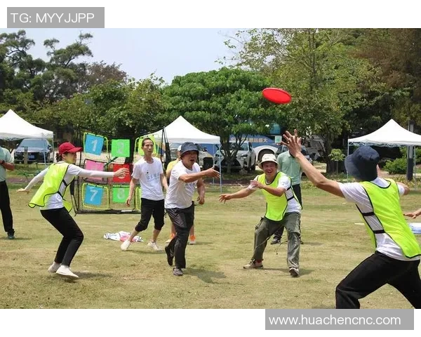 飞盘纪实：记录深圳飞盘队的逆袭之旅